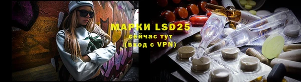 ГАЛЛЮЦИНОГЕННЫЕ ГРИБЫ Алексеевка