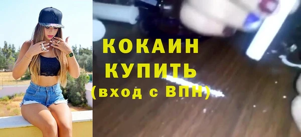 apvp Алексин
