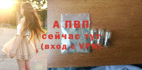apvp Алексин