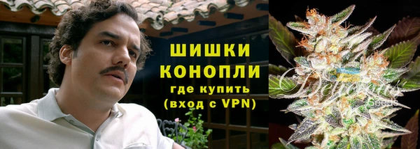 apvp Алексин
