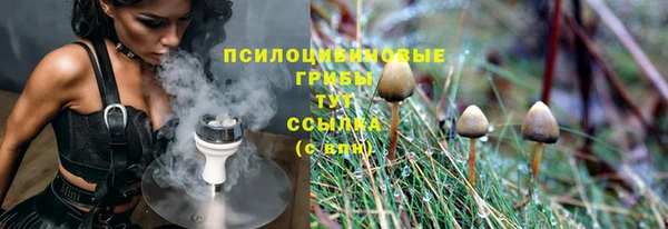 ГАЛЛЮЦИНОГЕННЫЕ ГРИБЫ Алексеевка