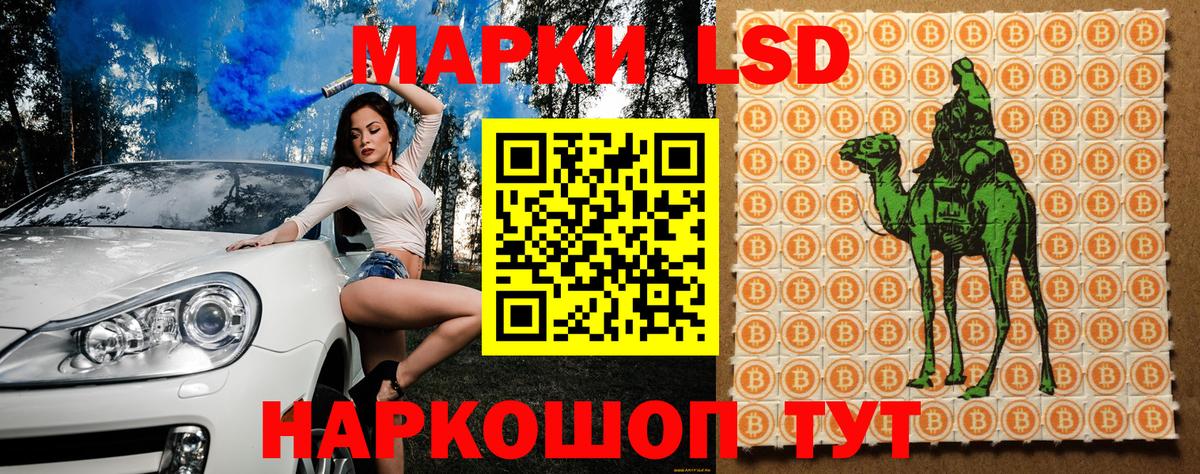 где можно купить наркотик  Вход с VPN  Алексин  Марки 25I-NBOMe 1,8мг 