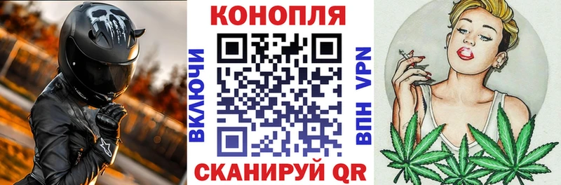 Конопля SATIVA & INDICA  наркошоп  Алексин 